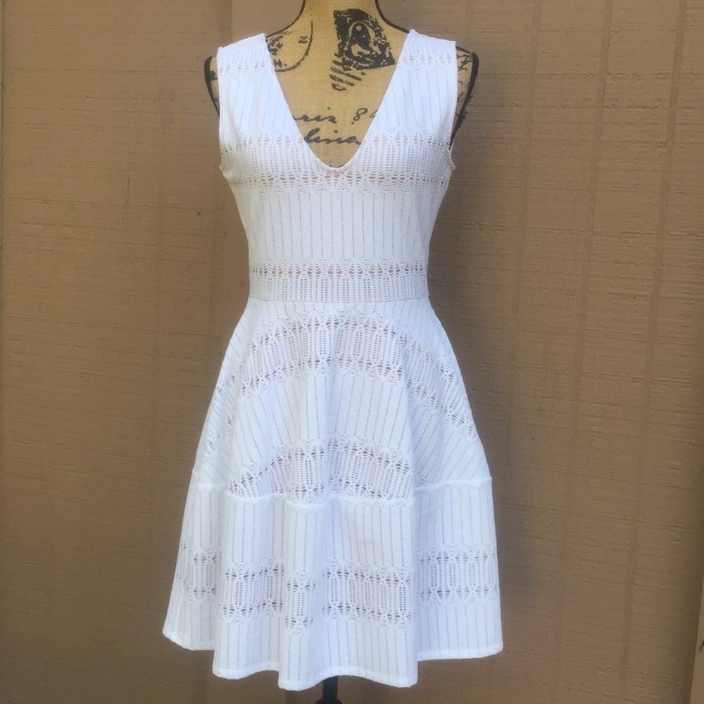 Sz S BCBGMaxAzria Tan & White Overlay Dress